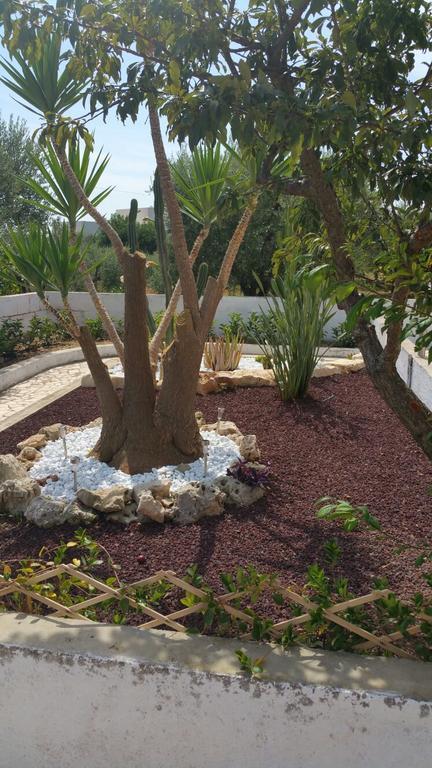 Villa Santo Stefano مونوبولي المظهر الخارجي الصورة